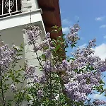 Aparthotel Αnemos Beach Vrasna