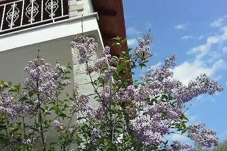 Hotel apartamentowy αnemos